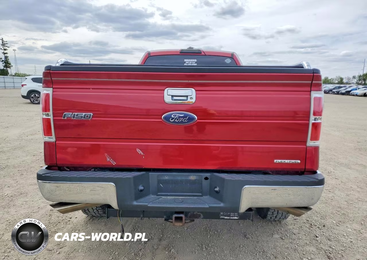 2013 Ford F150 VIN:1FTNF1EF6DKE09315 - 6