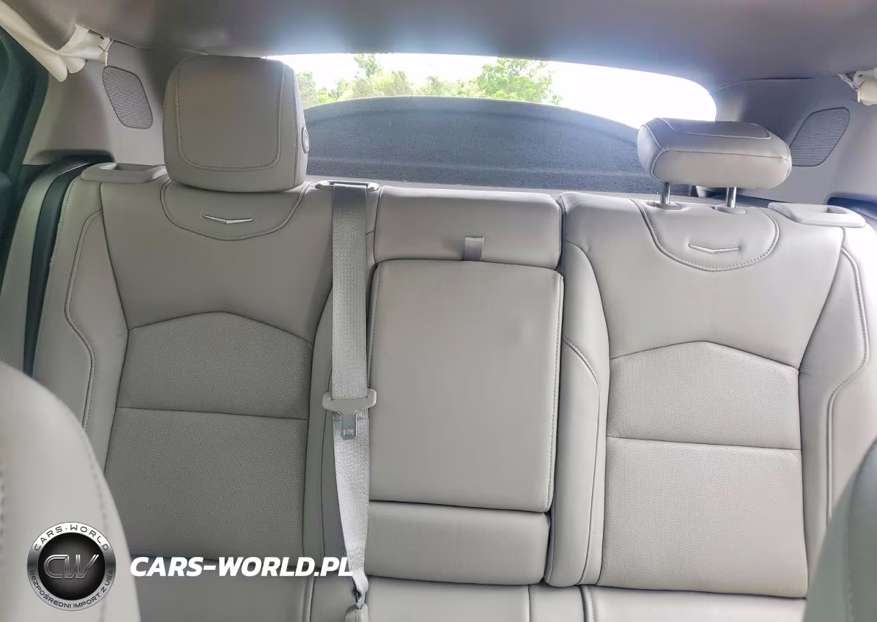 2019 Cadillac Xt4 Premium Luxury VIN:1GYFZDR41KF186770 - 10