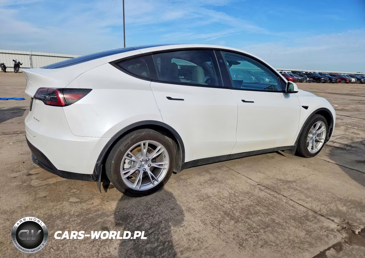 2023 Tesla Model Y VIN:7SAYGDEE1PF871692 - 3