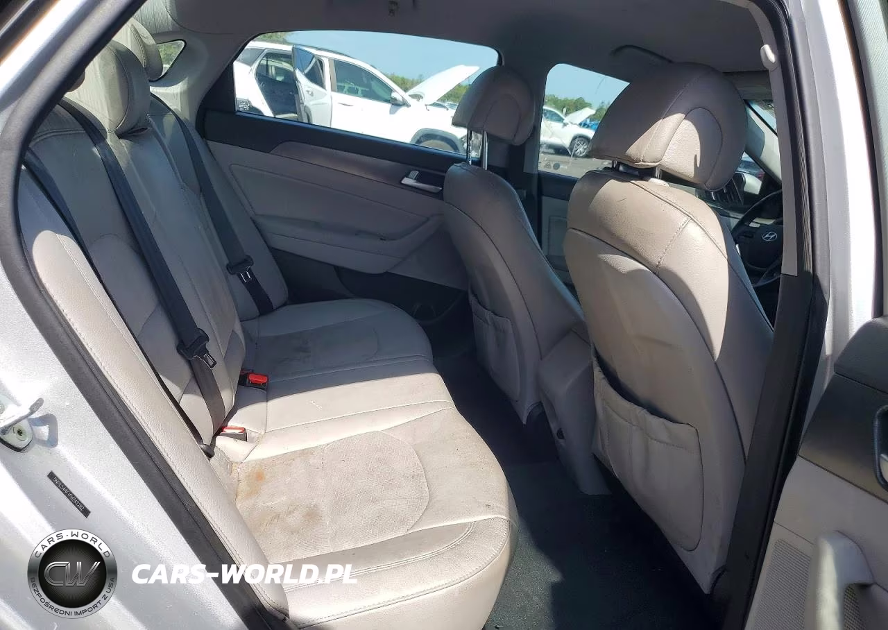 2015 Hyundai Sonata Sport VIN:5NPE34AF1FH242282 - 10