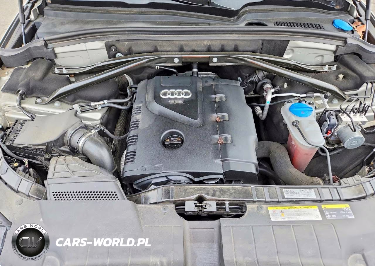 2013 Audi Q5 Premium Plus VIN:WA1LFAFP1DA030396 - 11