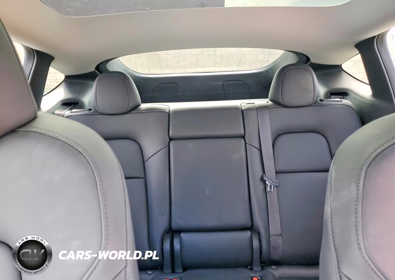 2024 Tesla Model Y VIN:7SAYGDEE2RA245942 - 10