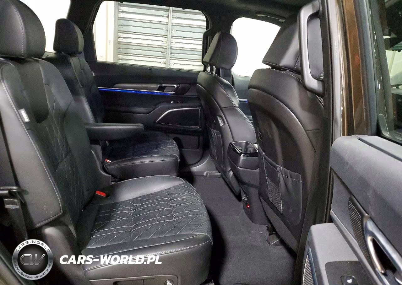 2024 Kia Telluride Sx-Prestige X-Pro VIN:5XYP5DGC8RG450655 - 11