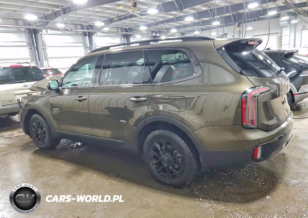 2024 Kia Telluride Sx-Prestige X-Pro VIN:5XYP5DGC8RG450655 - 2