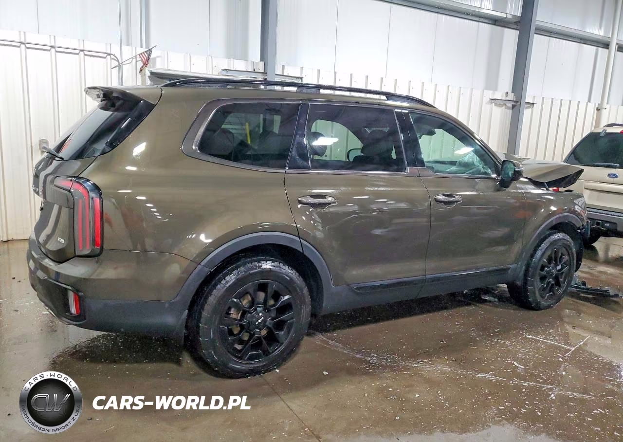 2024 Kia Telluride Sx-Prestige X-Pro VIN:5XYP5DGC8RG450655 - 3