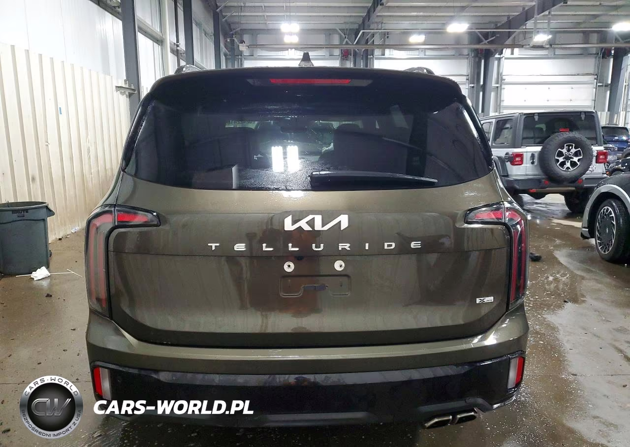 2024 Kia Telluride Sx-Prestige X-Pro VIN:5XYP5DGC8RG450655 - 6