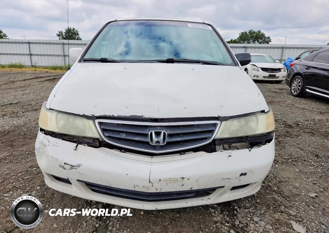 2002 Honda Odyssey Exl VIN:5FNRL18962B023861 - 5