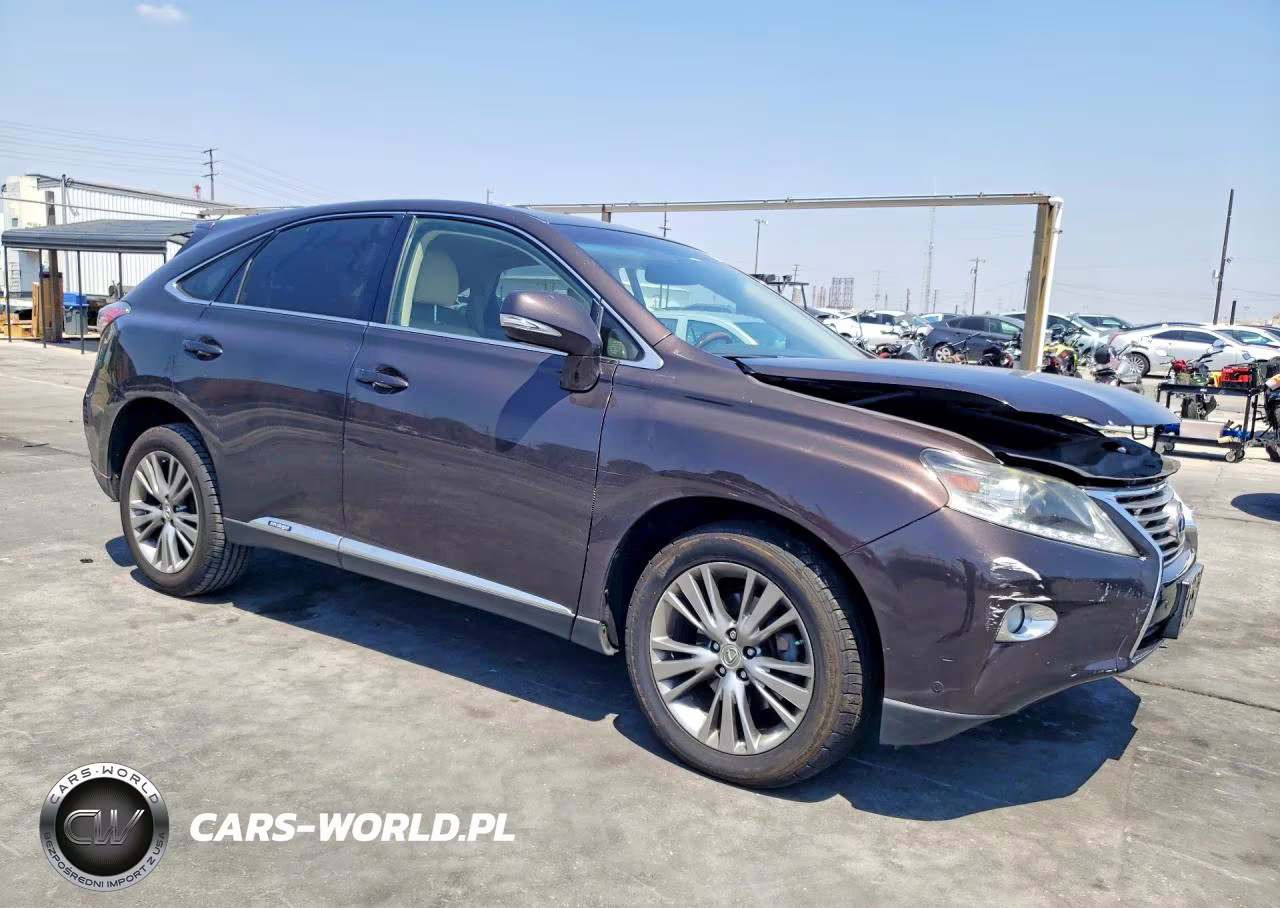 2013 Lexus Rx 450H VIN:JTJZB1BA2D2007004 - 4