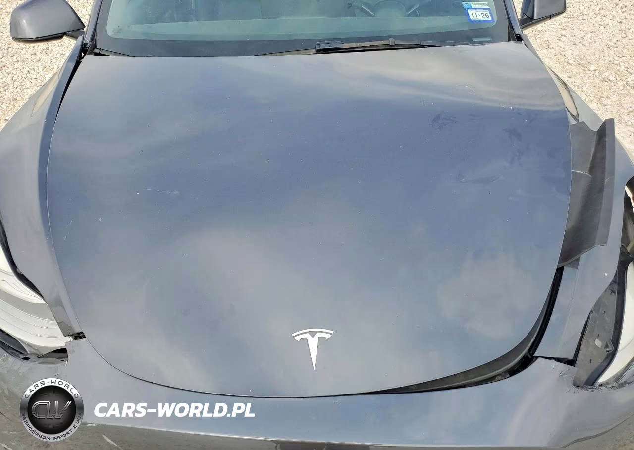 2021 Tesla Model Y VIN:5YJYGDEE3MF202946 - 11
