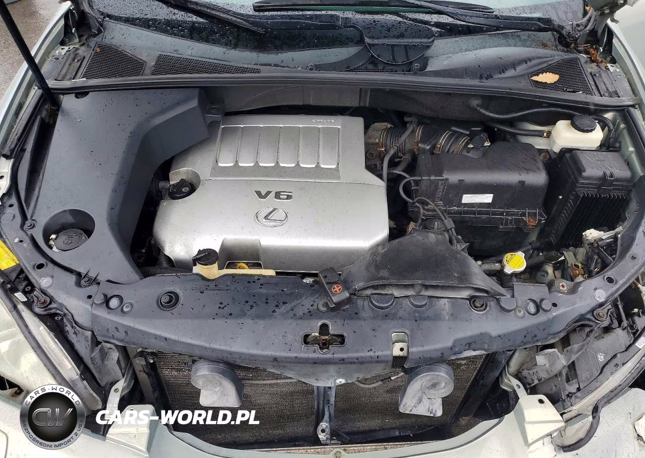 2009 Lexus Rx 350 VIN:2T2HK31U39C098214 - 12