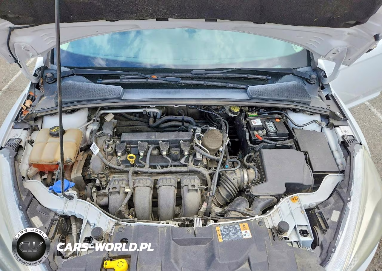 2015 Ford Focus Se VIN:1FADP3F2XFL369484 - 11