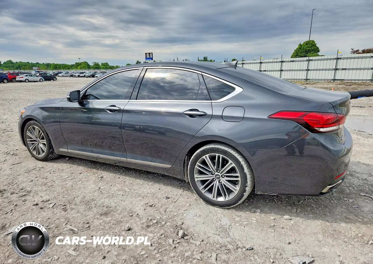 2019 Genesis G80 3.8 VIN:KMHGN4JE3KU299394 - 2