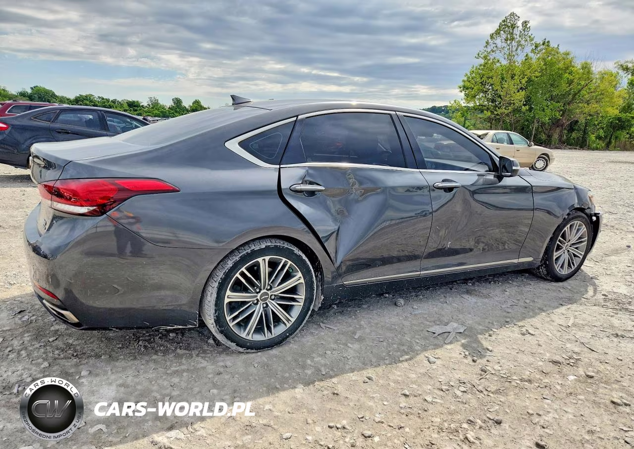2019 Genesis G80 3.8 VIN:KMHGN4JE3KU299394 - 3