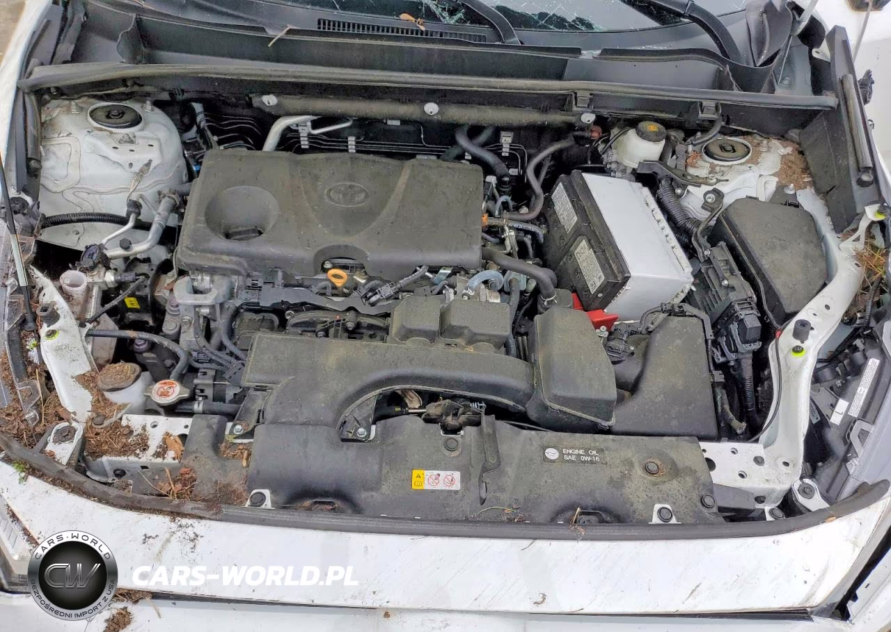 2025 Toyota Rav4 Xle VIN:2T3P1RFV3SW499720 - 12