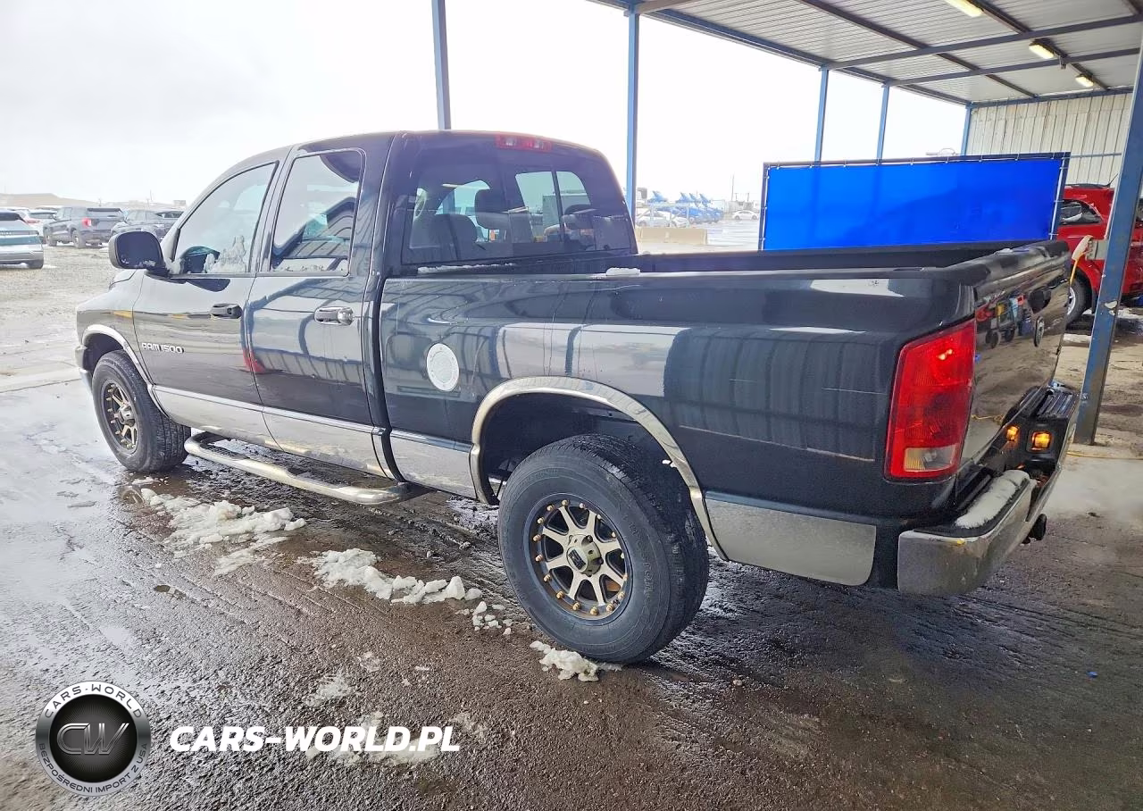 2006 Dodg Ram 1500 VIN:1D7HA18N46J174782 - 2