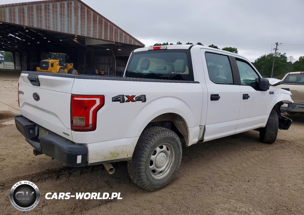 2016 Ford F150 Supercrew VIN:1FTEW1E8XGKE63996 - 3