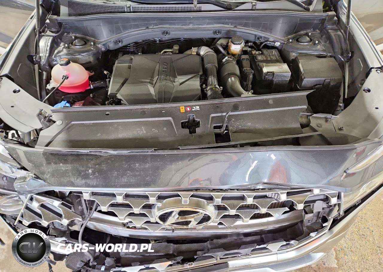 2023 Hyundai Santa Fe Limited VIN:5NMS4DAL3PH651453 - 12