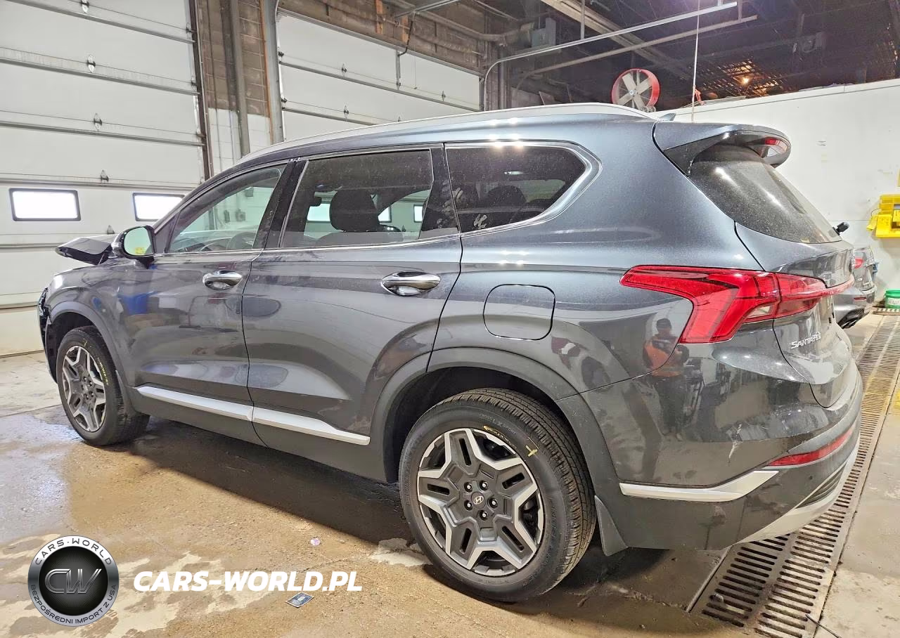 2023 Hyundai Santa Fe Limited VIN:5NMS4DAL3PH651453 - 2