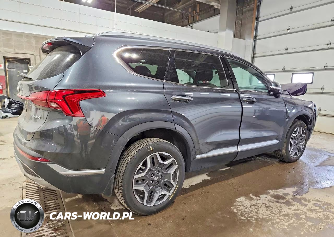 2023 Hyundai Santa Fe Limited VIN:5NMS4DAL3PH651453 - 3