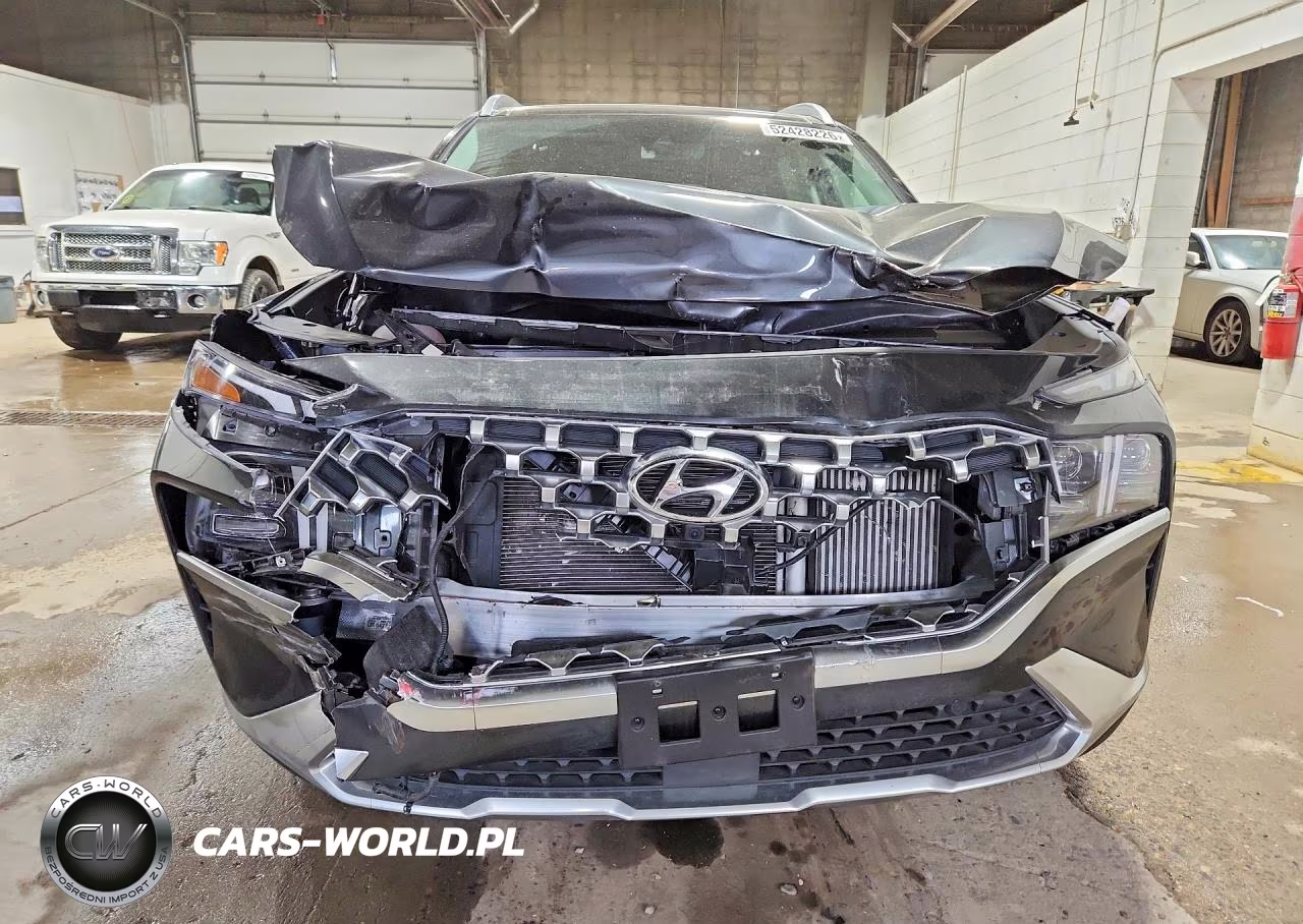 2023 Hyundai Santa Fe Limited VIN:5NMS4DAL3PH651453 - 5