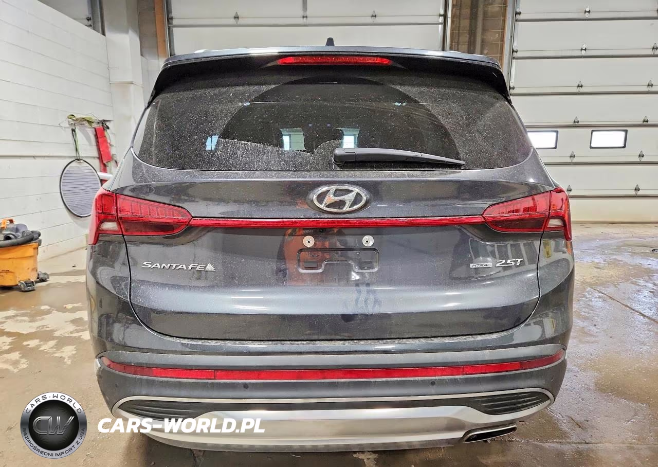 2023 Hyundai Santa Fe Limited VIN:5NMS4DAL3PH651453 - 6