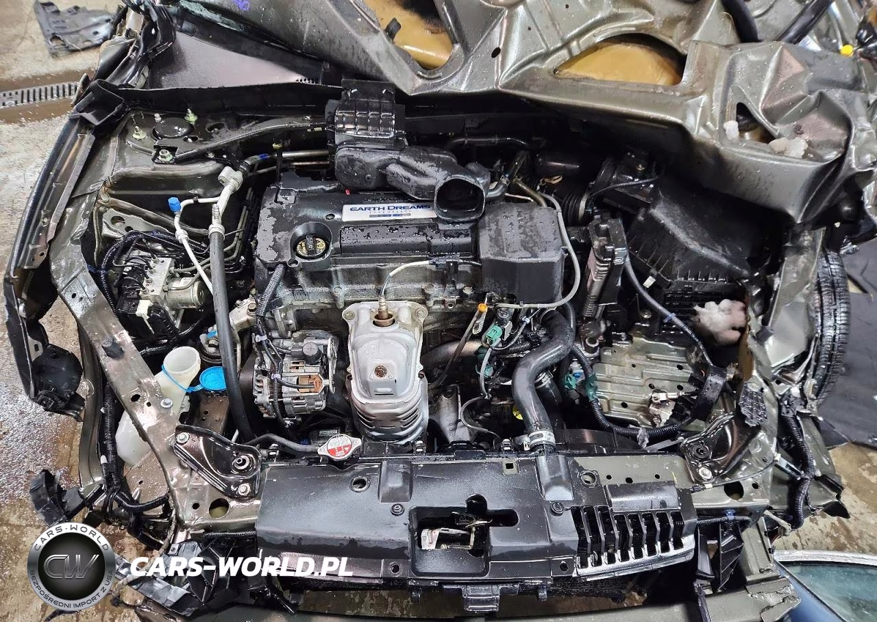 2014 Honda Accord Ex VIN:1HGCR2F77EA055843 - 11