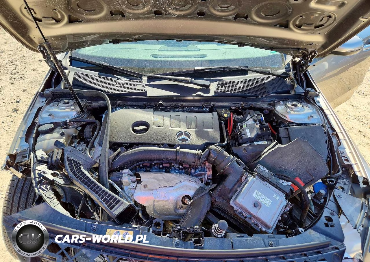 2019 Mercedes-Benz A 220 4Matic VIN:WDD3G4FB6KW035673 - 11