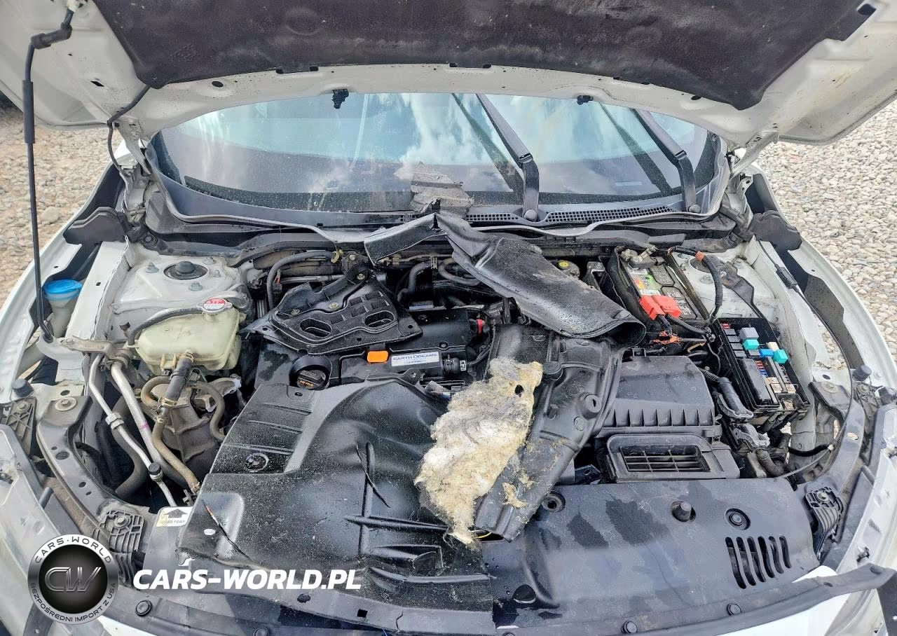 2019 Honda Civic Sport VIN:2HGFC2F85KH514761 - 11