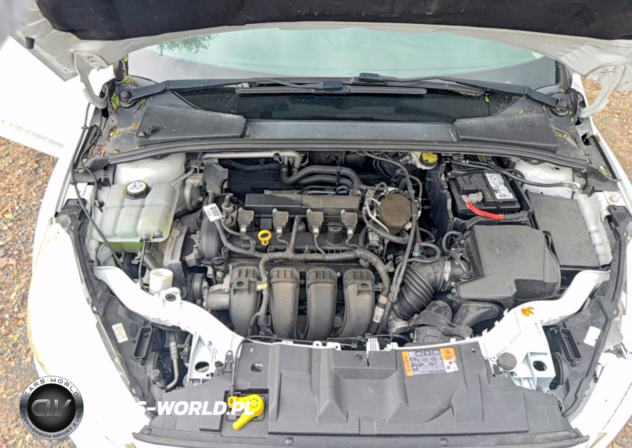 2016 Ford Focus Se VIN:1FADP3F25GL264210 - 7
