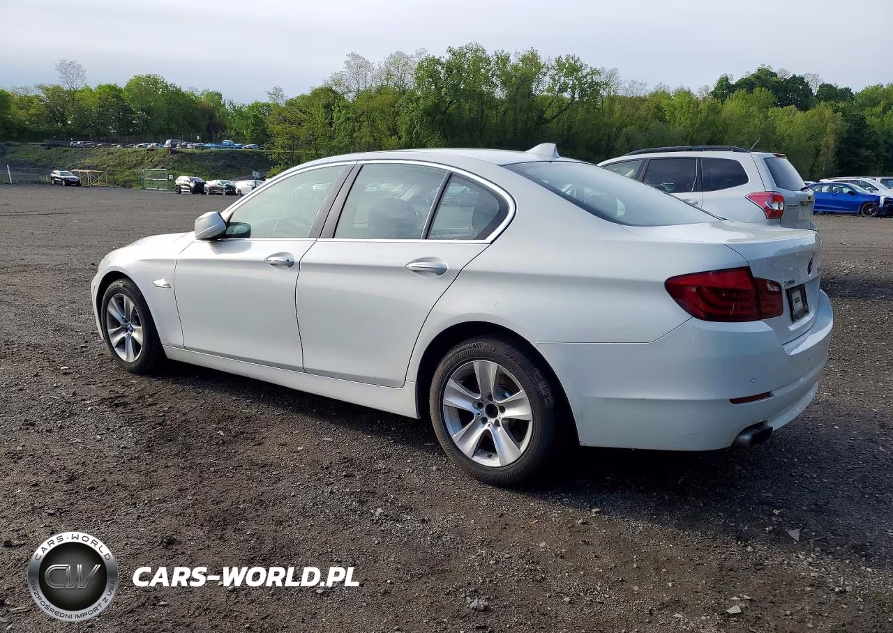 2013 BMW 528 Xi VIN:WBAXH5C56DD114317 - 2