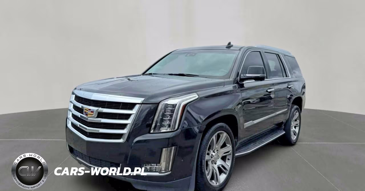 2019 Cadillac Escalade Luxury VIN:1GYS4BKJ4KR364476 - 2