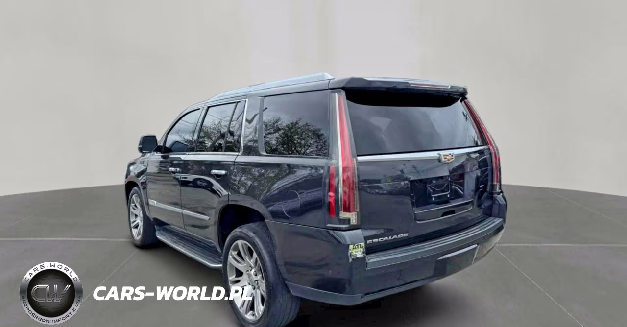 2019 Cadillac Escalade Luxury VIN:1GYS4BKJ4KR364476 - 3