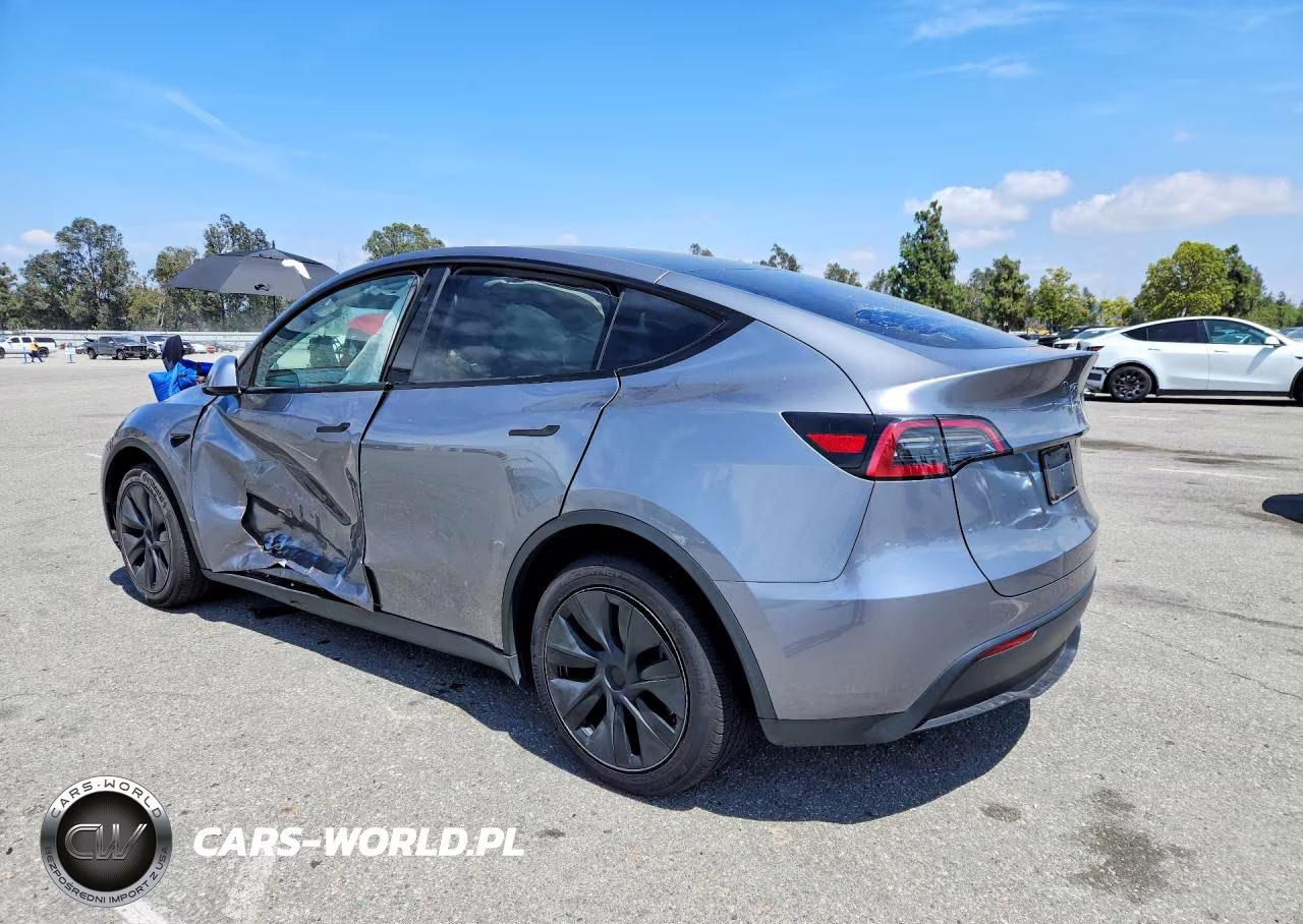 2025 Tesla Model Y VIN:7SAYGDED7SF313233 - 2