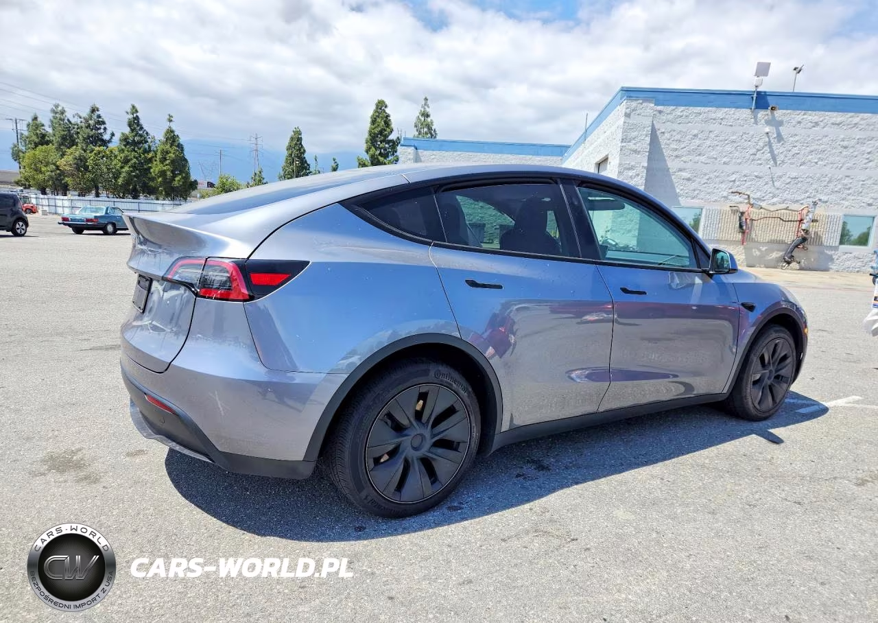 2025 Tesla Model Y VIN:7SAYGDED7SF313233 - 3