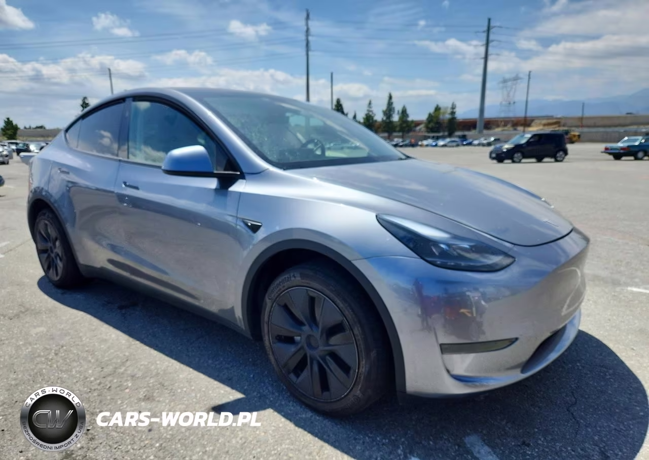 2025 Tesla Model Y VIN:7SAYGDED7SF313233 - 4