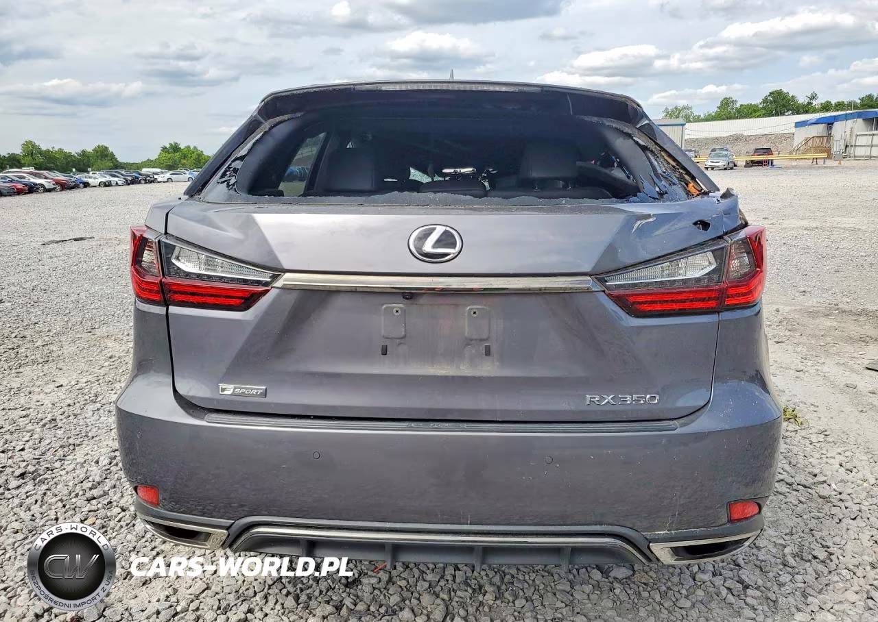 2020 Lexus Rx 350 F Sport VIN:2T2YZMDA4LC257560 - 6