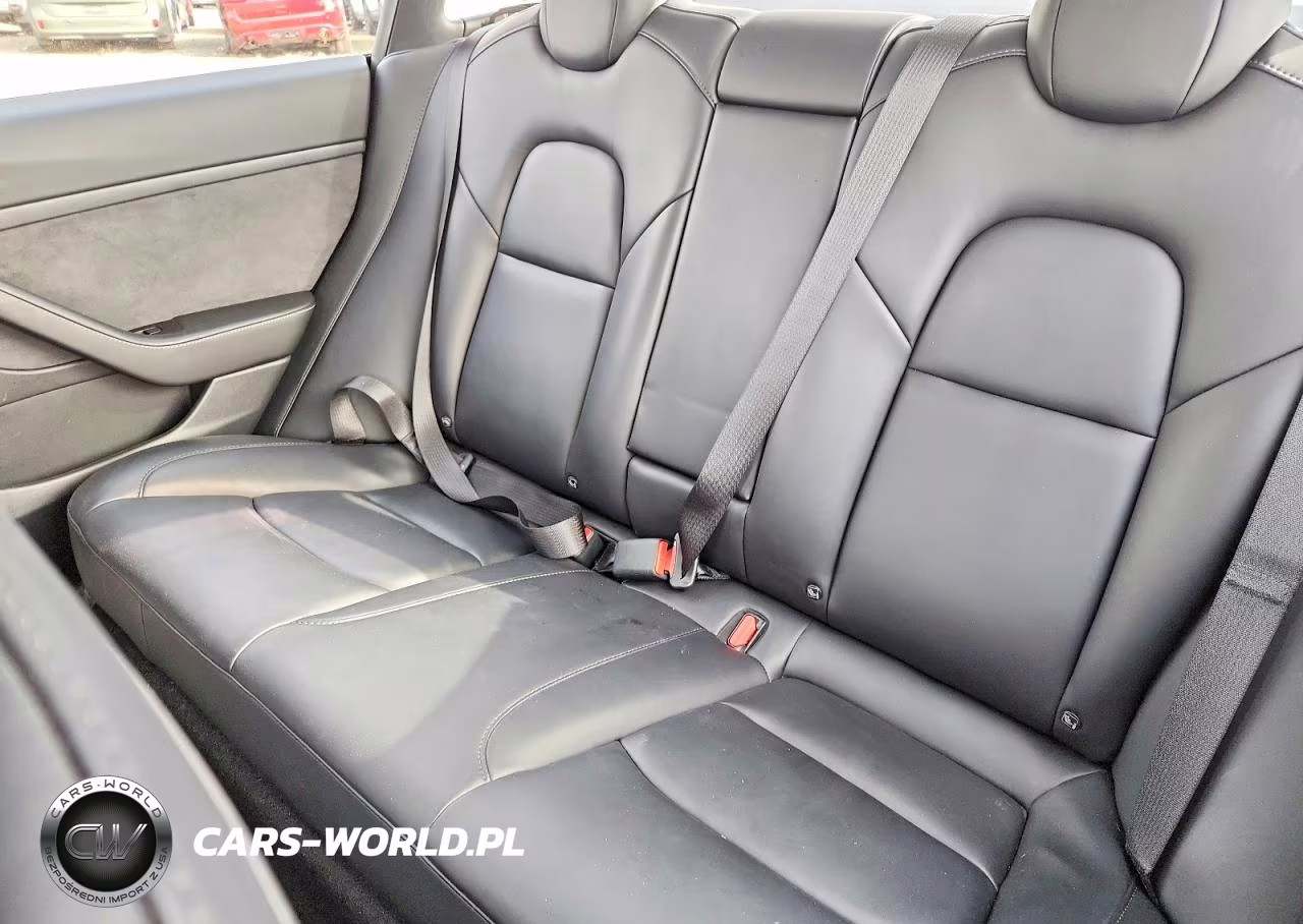2021 Tesla Model 3 Rwd W-Standa VIN:5YJ3E1EAXMF062129 - 10