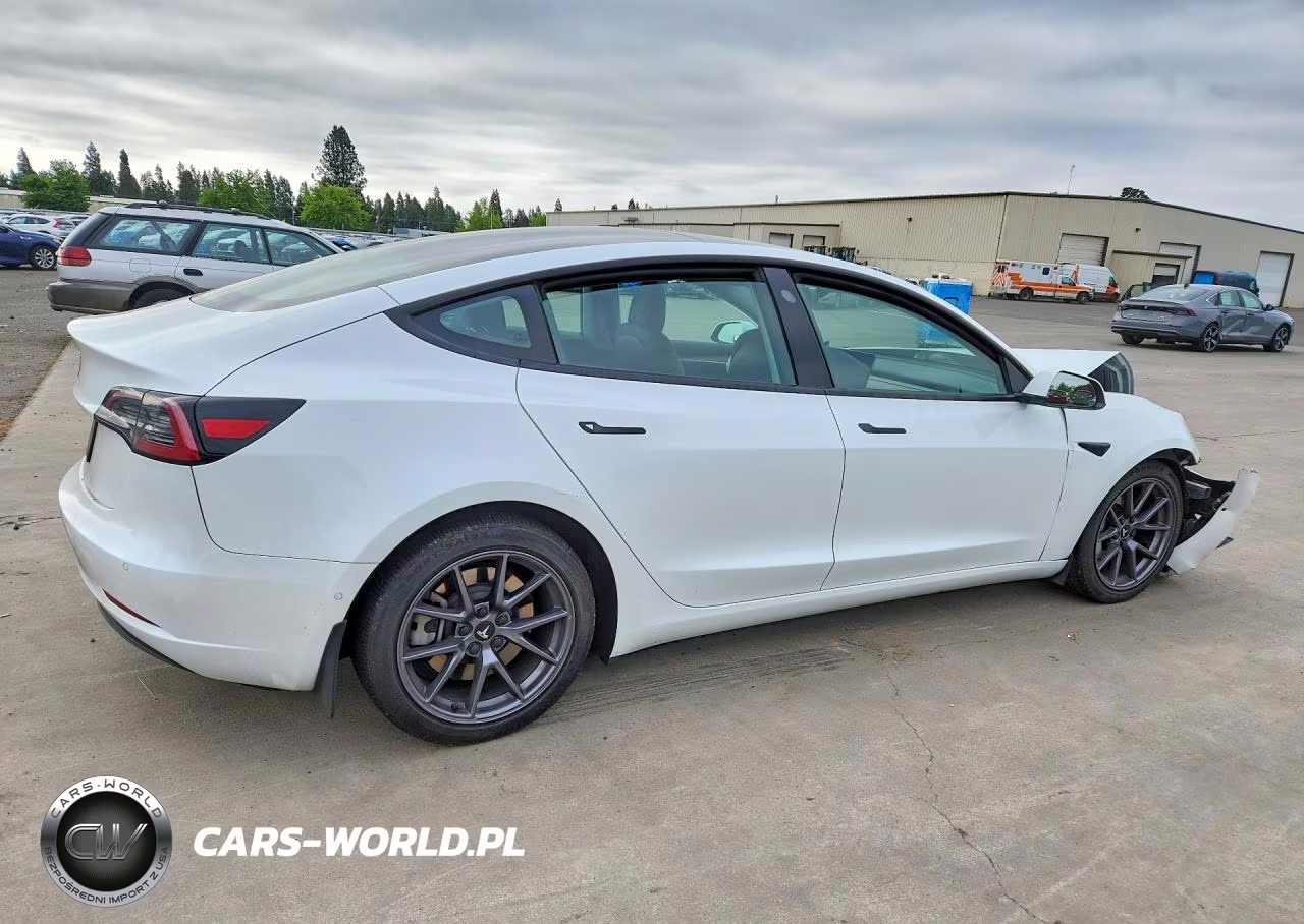 2021 Tesla Model 3 Rwd W-Standa VIN:5YJ3E1EAXMF062129 - 3