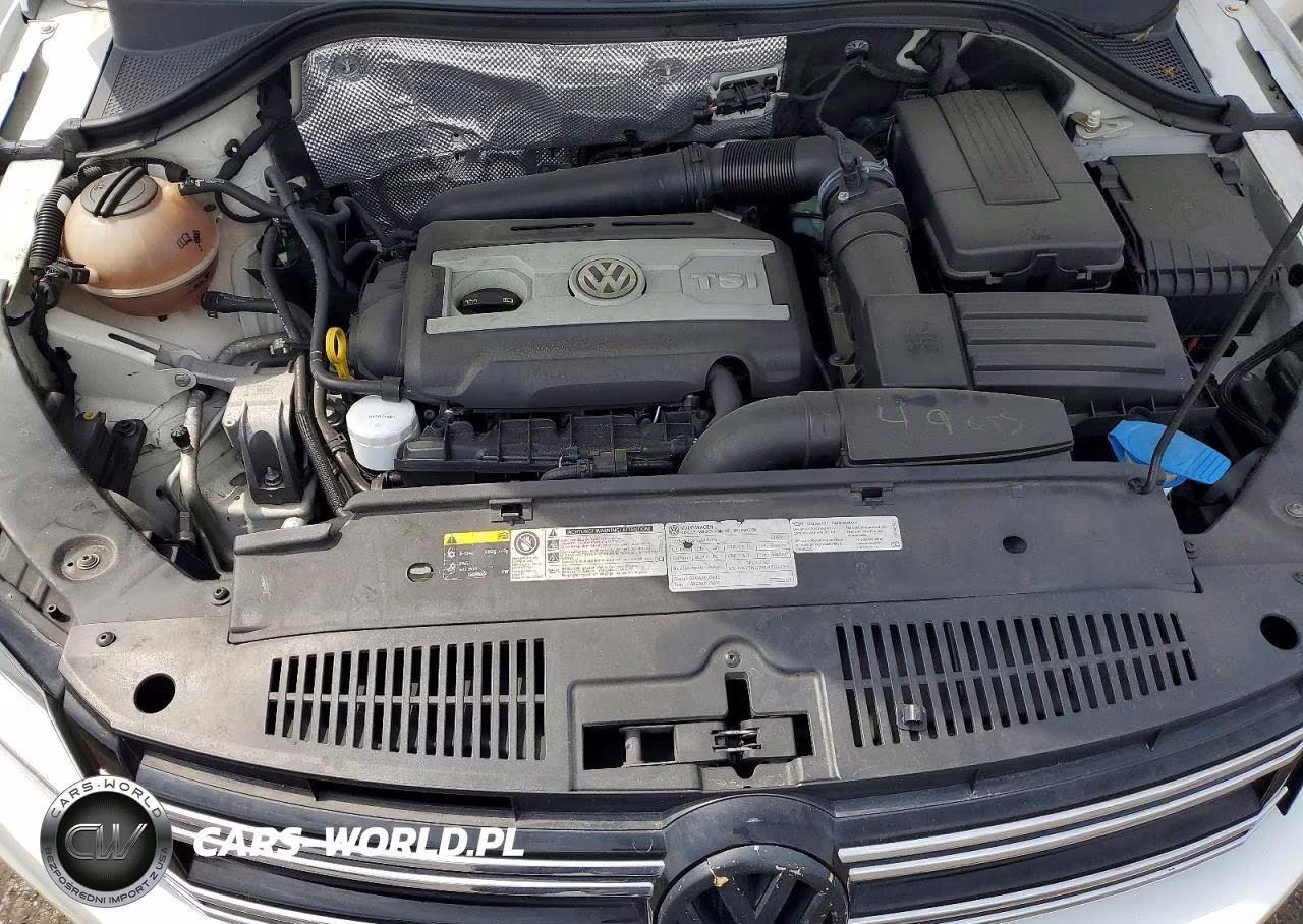 2016 Volkswagen Tiguan S VIN:WVGAV7AX4GW569494 - 12