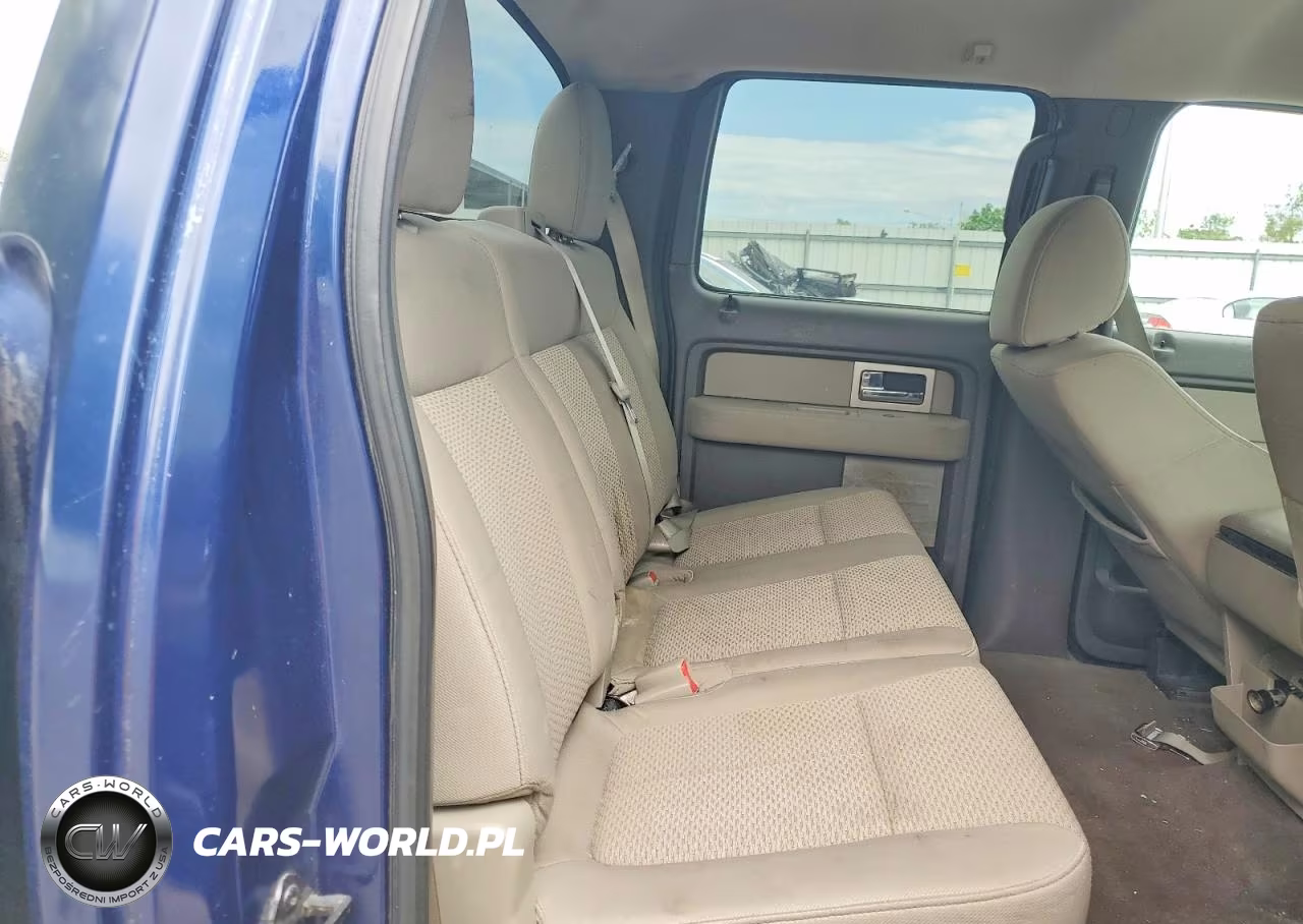 2010 Ford F150 Supercrew VIN:1FTEW1E85AFA90401 - 10