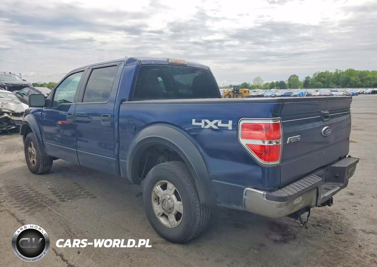 2010 Ford F150 Supercrew VIN:1FTEW1E85AFA90401 - 2