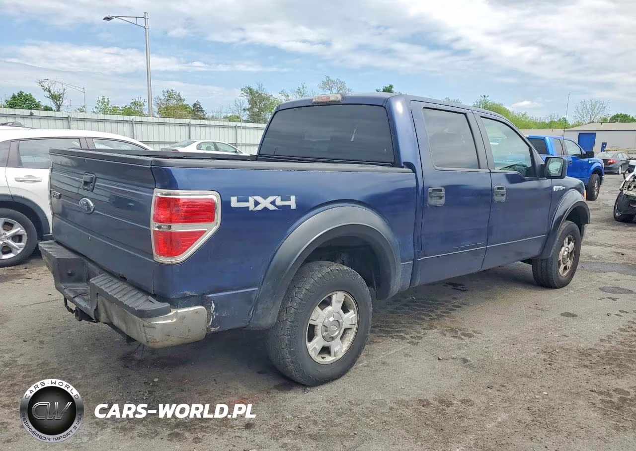 2010 Ford F150 Supercrew VIN:1FTEW1E85AFA90401 - 3