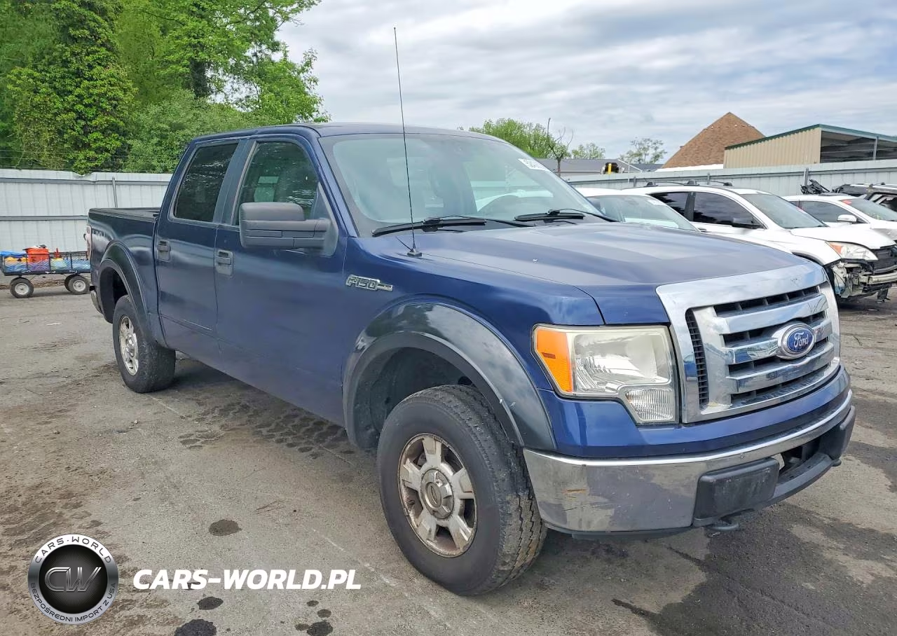 2010 Ford F150 Supercrew VIN:1FTEW1E85AFA90401 - 4