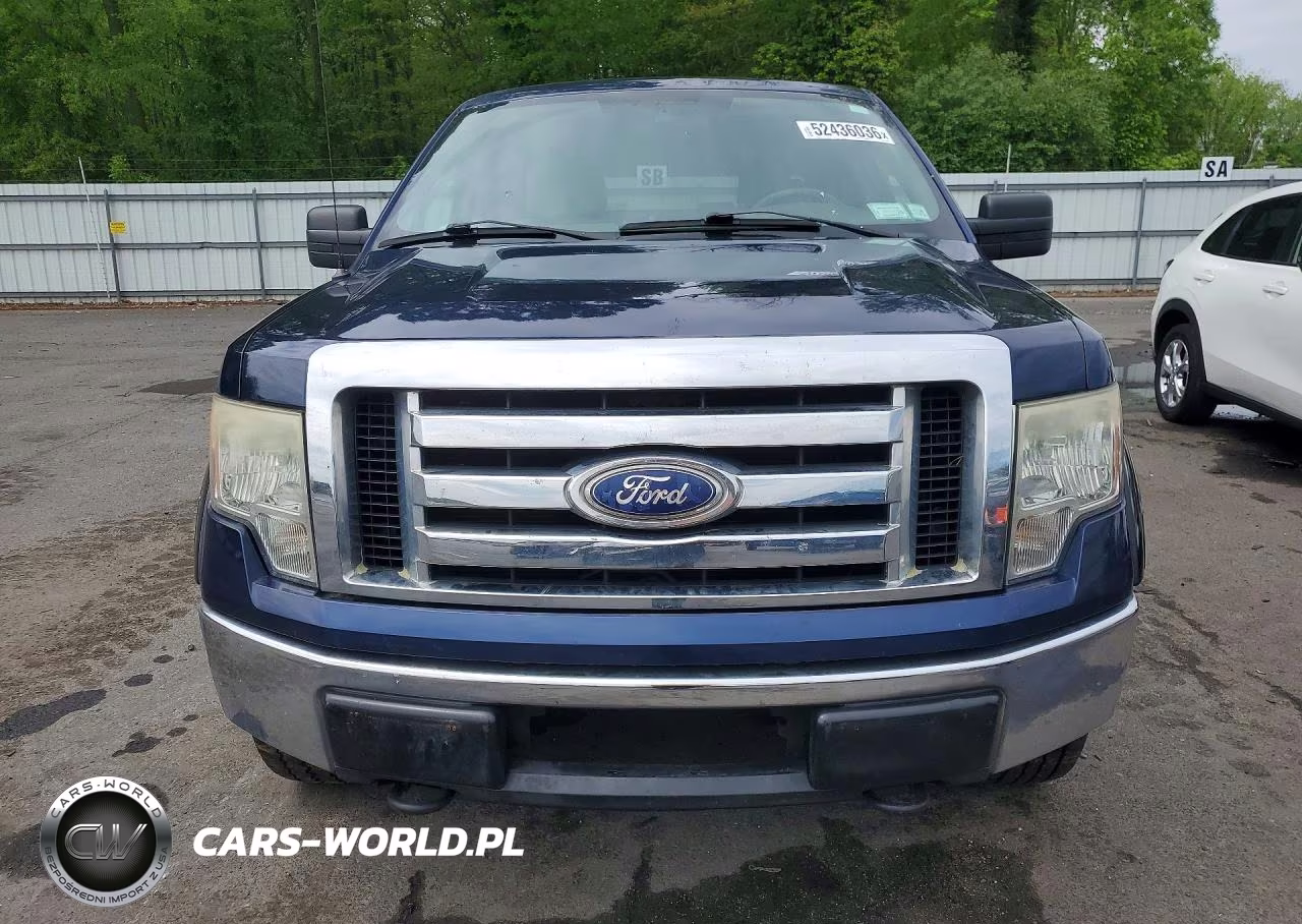 2010 Ford F150 Supercrew VIN:1FTEW1E85AFA90401 - 5