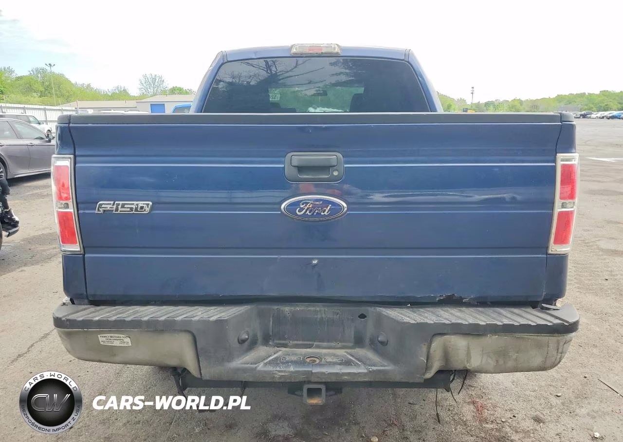 2010 Ford F150 Supercrew VIN:1FTEW1E85AFA90401 - 6