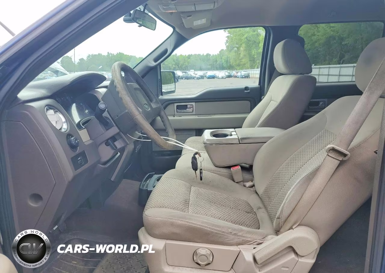 2010 Ford F150 Supercrew VIN:1FTEW1E85AFA90401 - 7