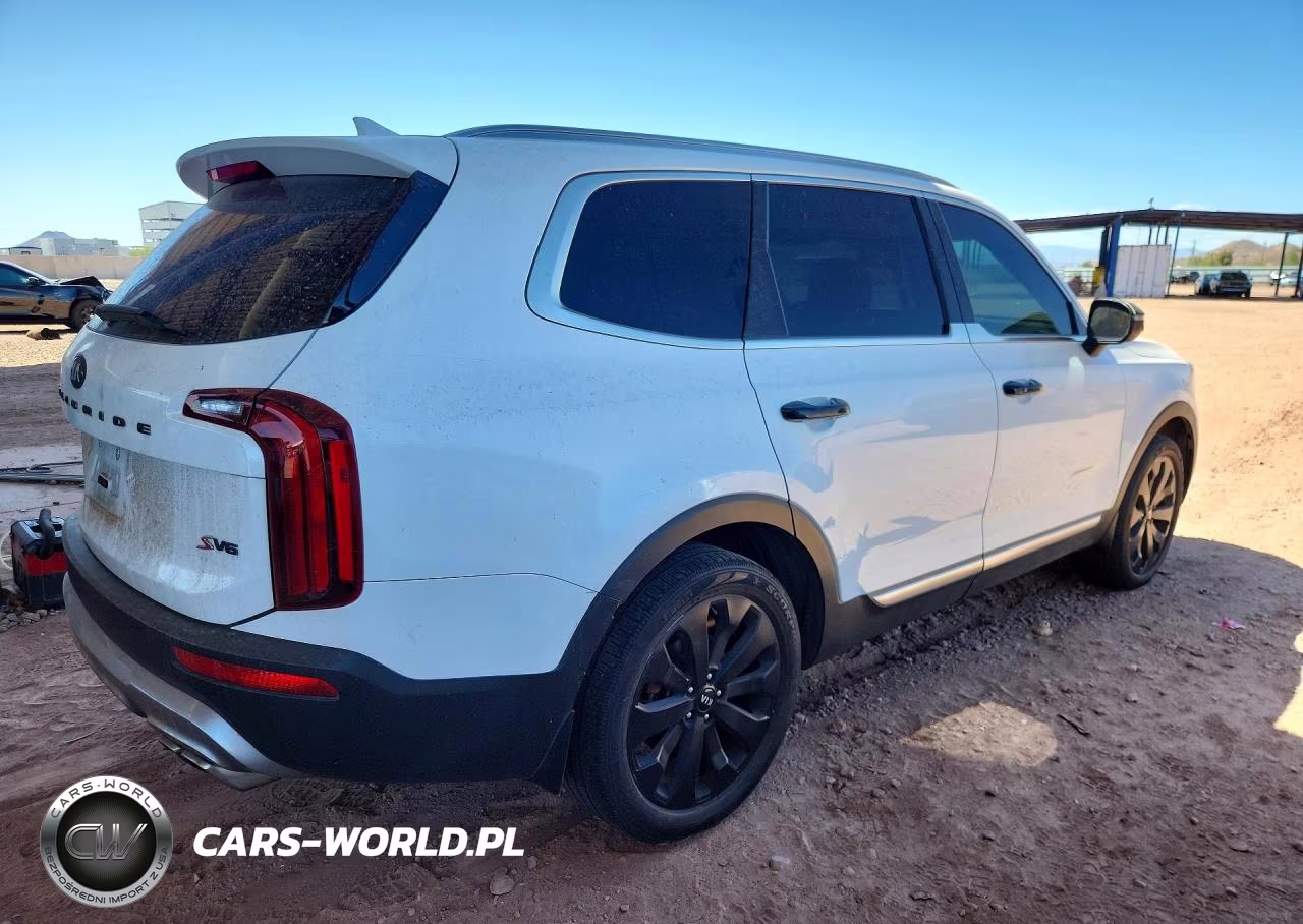 2020 Kia Telluride S VIN:5XYP64HC0LG095967 - 3