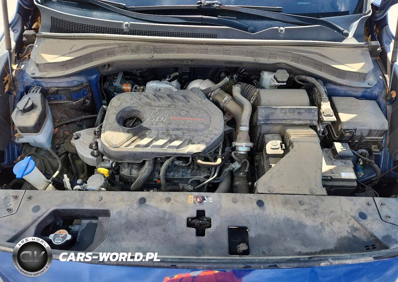 2020 Hyundai Santa Fe Limited 2.0T VIN:5NMS53AA8LH283254 - 12