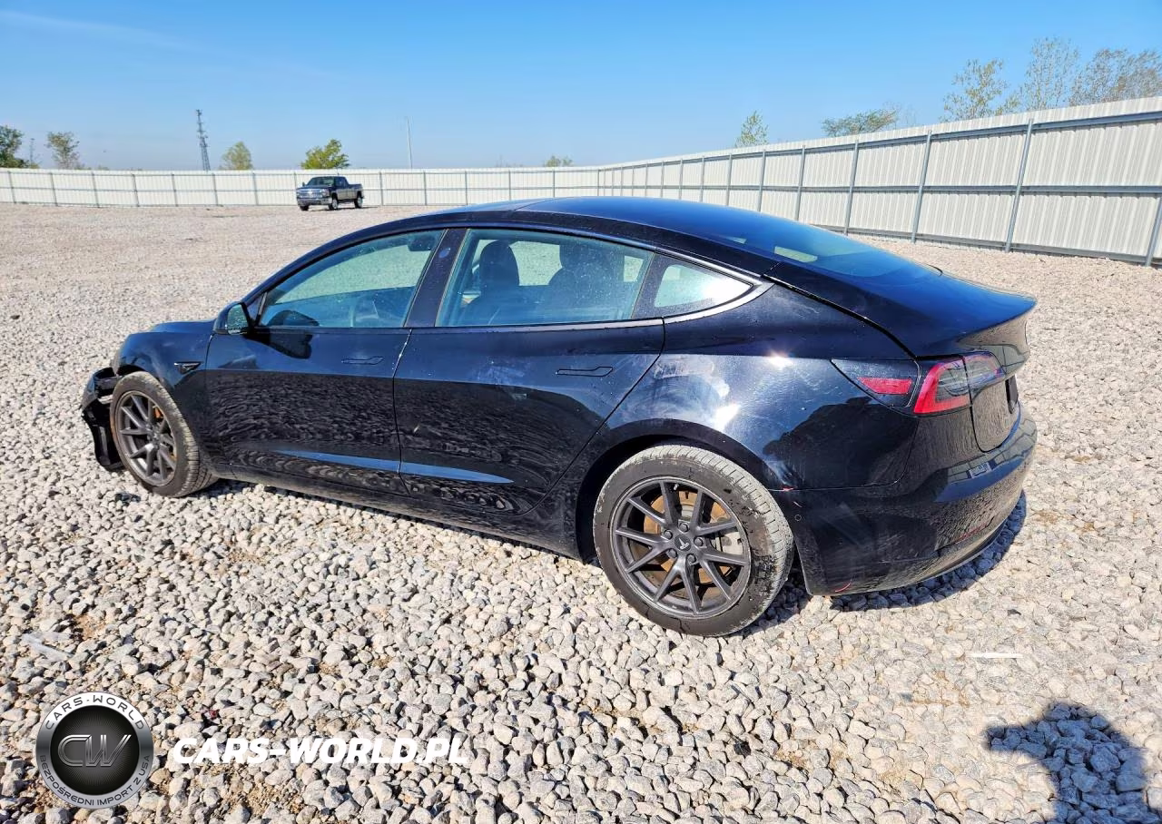 2022 Tesla Model 3 VIN:5YJ3E1EA1NF288013 - 2