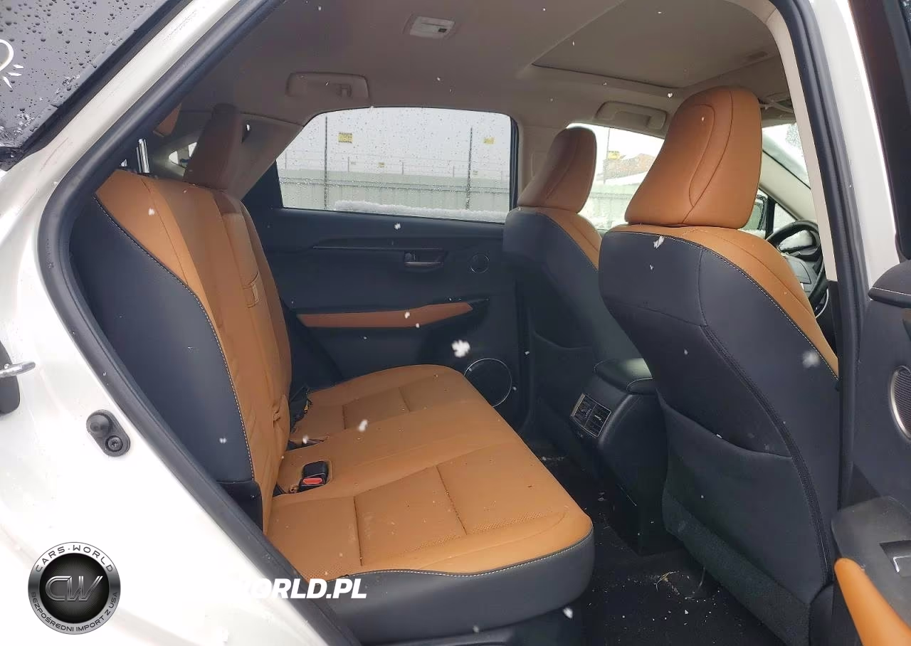 2021 Lexus Nx 300 Base VIN:JTJGARDZ0M5024751 - 11